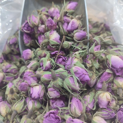 غنچه گل محمدی