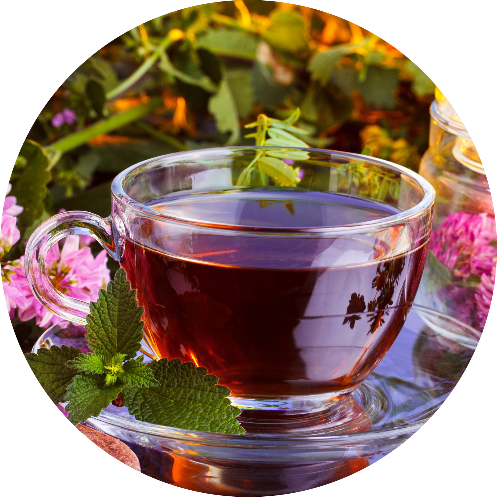 چای‌های گیاهی